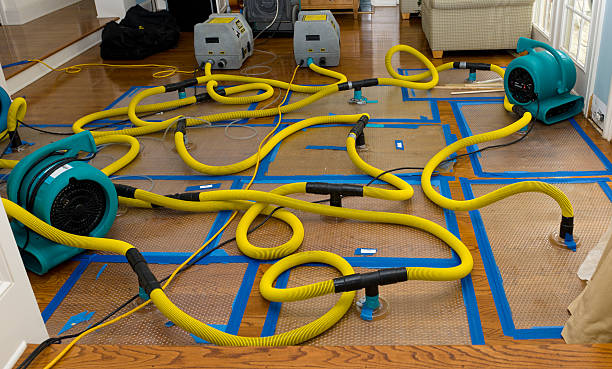 Professional Crawl Space Water Removal technician working in Sandy Lake, PA
